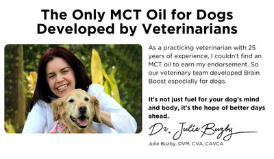 Dr. Buzby’s Brain Boost™ Organic MCT Oil for Dogs
